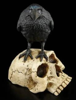 Raben Figur Sitzt Auf Totenschädel -FIGUREN Verkäufe 6384 1 crow skull 1 1280x1280