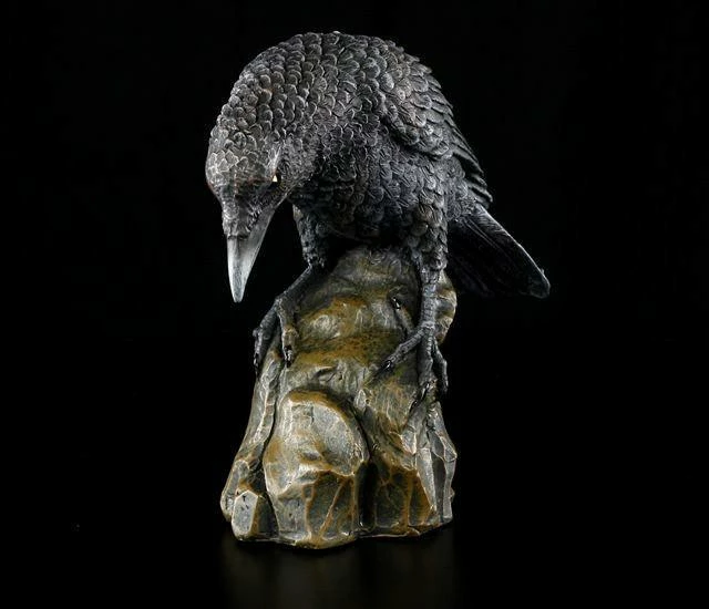 Schwarzer Rabe 4 Schwarzer Rabe – Bild 2