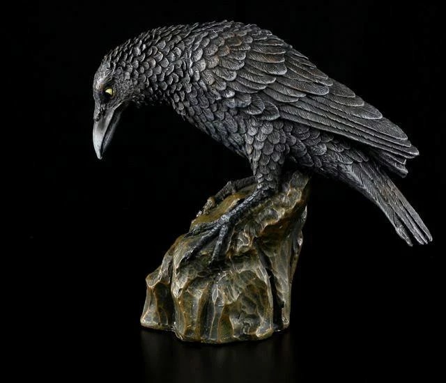 Schwarzer Rabe 5 Schwarzer Rabe – Bild 3