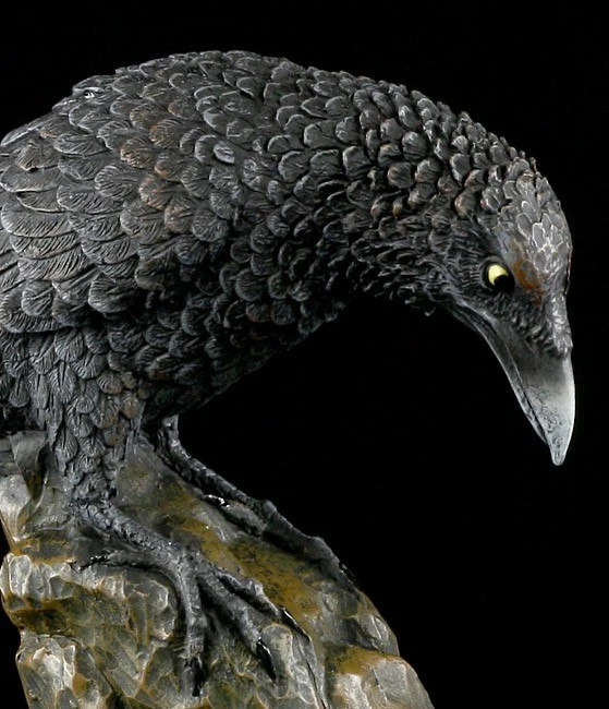 Schwarzer Rabe 7 Schwarzer Rabe – Bild 5