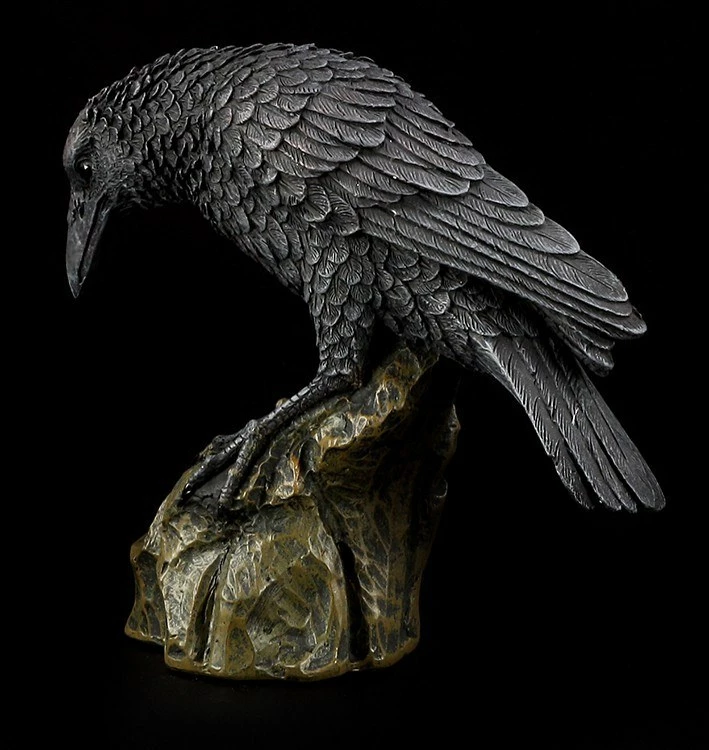 Schwarzer Rabe 8 Schwarzer Rabe – Bild 6