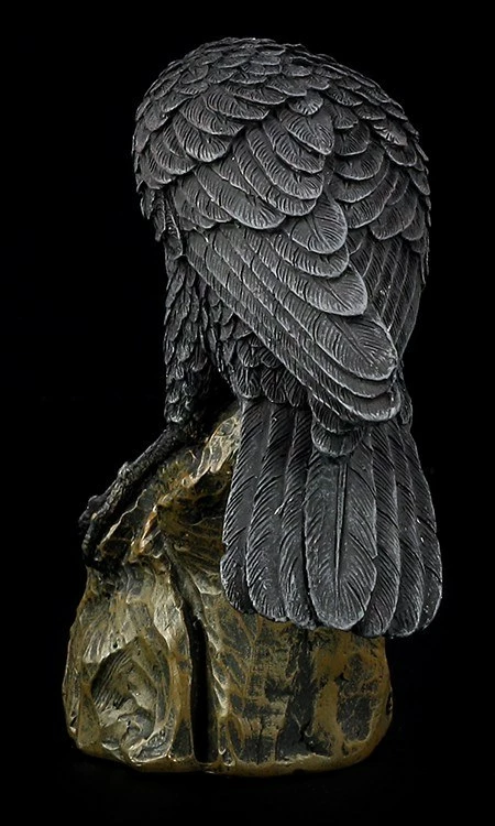 Schwarzer Rabe 9 Schwarzer Rabe – Bild 7