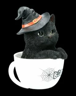 Schwarze Hexen-Katze In Tasse -FIGUREN Verkäufe AMI 13802 Schwarze Hexen Katze in Tasse 1HVY4eHtEDdEBA 1280x1280