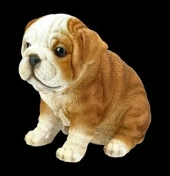 Hunde Figur - Bulldogge Welpe 10 Hunde Figur - Bulldogge Welpe -FIGUREN Verkäufe AMI 13812 Hunde Figu Bulldogge Welpe 3 1280x1280