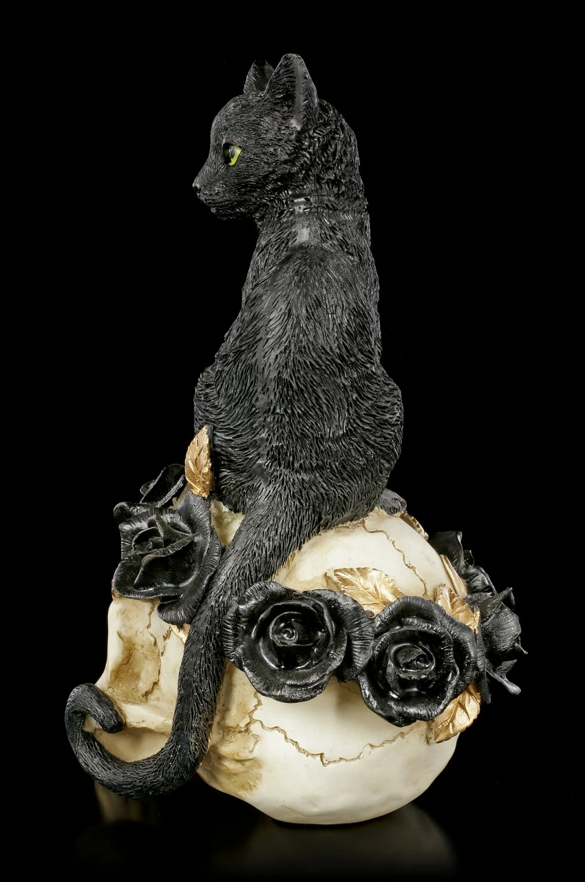 Alchemy Totenkopf - Katze Auf Schädel 7 Alchemy Totenkopf - Katze Auf Schädel – Bild 5