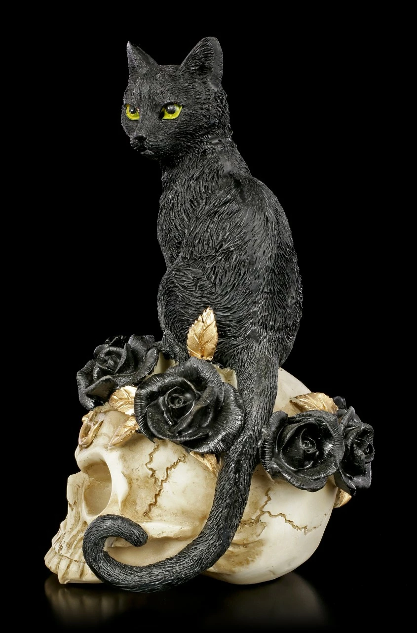 Alchemy Totenkopf - Katze Auf Schädel 8 Alchemy Totenkopf - Katze Auf Schädel – Bild 6