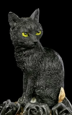 Alchemy Totenkopf - Katze Auf Schädel 17 Alchemy Totenkopf - Katze Auf Schädel -FIGUREN Verkäufe Alchemy Totenkopf Katze Auf Schaedel 7 1280x1280