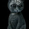 NEMESIS NOW Okkulte Katzenfigur Mit Hörnern - Pawzuph Groß -FIGUREN Verkäufe B2534S0 Okkulte Katzenfigur mit Hornern Pawzuph gross 1 1280x1280