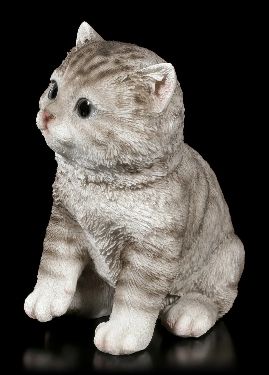 Baby Katzen Figur - Amerikanisch Kurzhaar Sitzend 4 Baby Katzen Figur - Amerikanisch Kurzhaar Sitzend – Bild 2