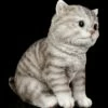 Baby Katzen Figur - Amerikanisch Kurzhaar Sitzend -FIGUREN Verkäufe Baby Katzen Figur Amerikanisch Kurzhaar Sitzend 1280x1280