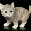 Baby Katzen Figur - Amerikanisch Kurzhaar Spielend 2 Baby Katzen Figur - Amerikanisch Kurzhaar Spielend -FIGUREN Verkäufe Baby Katzen Figur Amerikanisch Kurzhaar Spielend 1280x1280