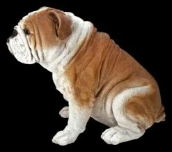 Bulldoggen Figur Sitzend -FIGUREN Verkäufe Bulldoggen Figur Hotant 3 1280x1280