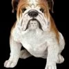 Bulldoggen Figur Sitzend 1 Bulldoggen Figur Sitzend -FIGUREN Verkäufe Bulldoggen Figur Hotant 7 1280x1280