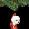 Christbaumschmuck Hund - Bichon Frisé Im Strumpf -FIGUREN Verkäufe Christbaum Schmuck Hund Bichon Frise Im Strumpf 1280x1280