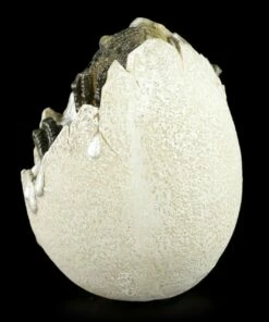 Dinosaurier Ei - Schlüpfend I -FIGUREN Verkäufe Dinosaurier Ei Schluepfend 3 1280x1280