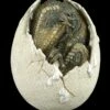 Dinosaurier Ei - Schlüpfend I -FIGUREN Verkäufe Dinosaurier Ei Schluepfend 1280x1280