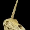 Einhorn Totenkopf -FIGUREN Verkäufe Einhorn Totenkopf 1280x1280