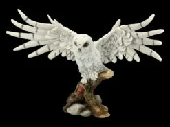 Eulen Figur - Snowy Rest -FIGUREN Verkäufe FS18307 Eulen Figur Snowy Rest 2 1280x1280