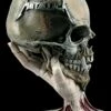 Metallica Totenkopf Figur - Sad But True -FIGUREN Verkäufe FS20733 Metallica Totenkopf Sad But True 9YfdoicHAdVzeg 1280x1280