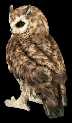 Braune Eulen Figur 9 Braune Eulen Figur -FIGUREN Verkäufe FS20788 Braune Eulen Figur stehend 3 1280x1280