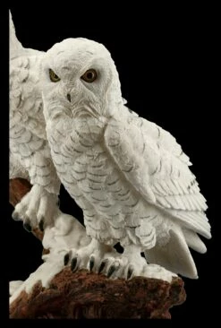 Eulen Figur - Schneeeulen Paar Auf Ast 15 Eulen Figur - Schneeeulen Paar Auf Ast -FIGUREN Verkäufe FS20794 Schneeeulenpaerchen auf Ast stehend 9 1280x1280