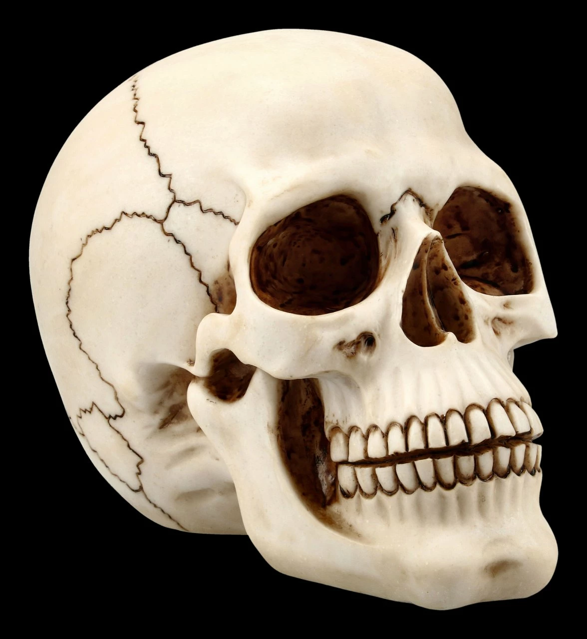 Menschlicher Totenkopf Mit Unterkiefer - Groß 3 Menschlicher Totenkopf Mit Unterkiefer - Groß