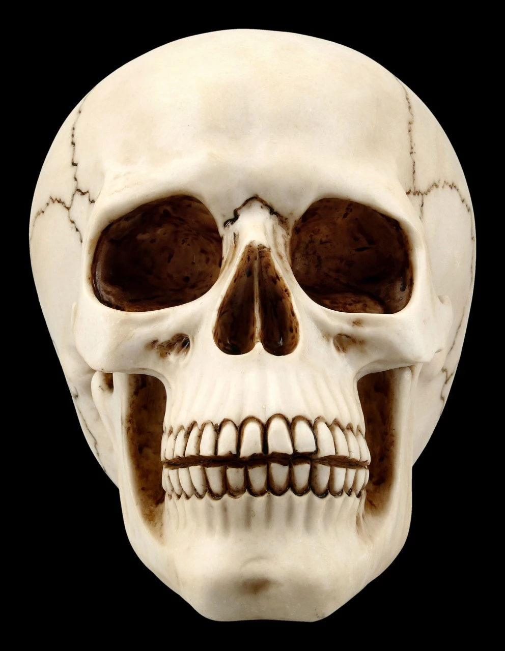 Menschlicher Totenkopf Mit Unterkiefer - Groß 4 Menschlicher Totenkopf Mit Unterkiefer - Groß – Bild 2