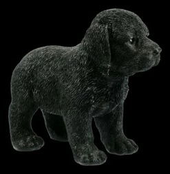Hunde Figur - Schwarzer Labrador Welpe 9 Hunde Figur - Schwarzer Labrador Welpe -FIGUREN Verkäufe FS21208 Hunde Figur Schoko Labrador 1ESlGAc7lQ5AzD 1280x1280