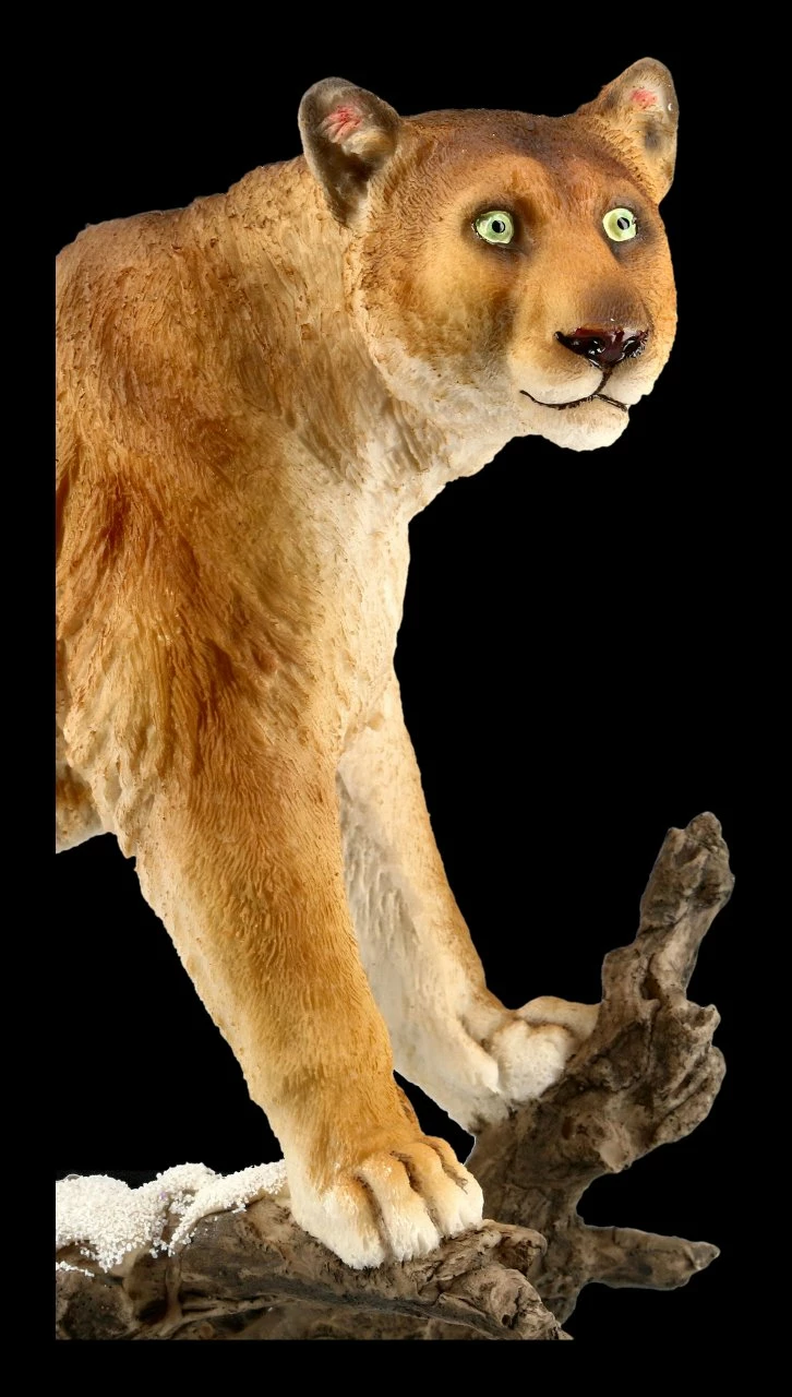 Puma Figur Auf Ast 8 Puma Figur Auf Ast – Bild 6