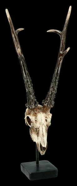 Rehbock Totenkopf Auf Metall Ständer 9 Rehbock Totenkopf Auf Metall Ständer -FIGUREN Verkäufe FS21254 Antilopen Totenkopf auf Metall Staender 1 1280x1280