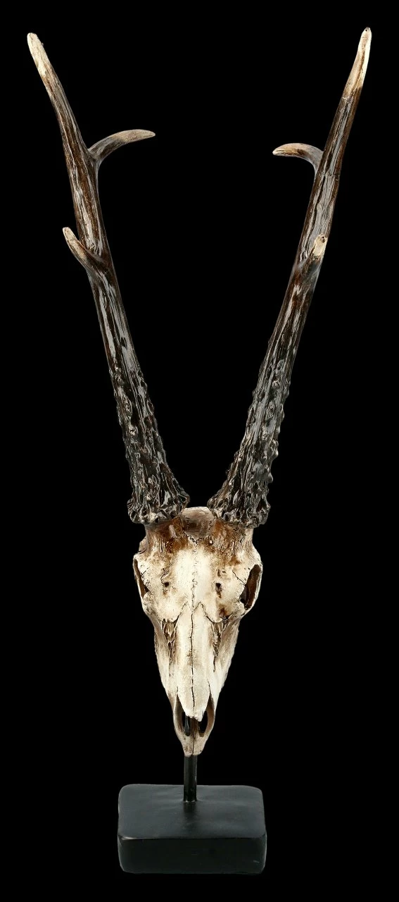 Rehbock Totenkopf Auf Metall Ständer 5 Rehbock Totenkopf Auf Metall Ständer – Bild 3