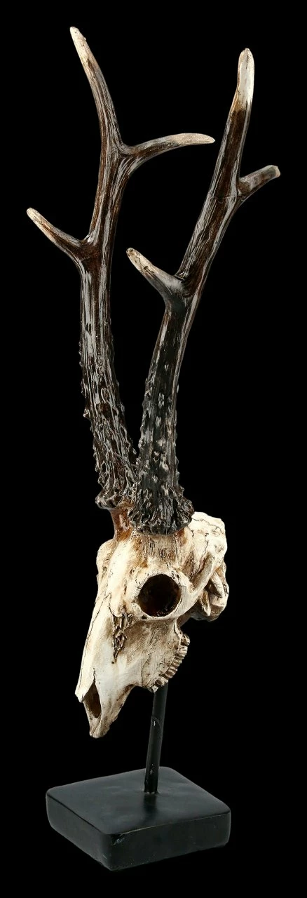 Rehbock Totenkopf Auf Metall Ständer 3 Rehbock Totenkopf Auf Metall Ständer