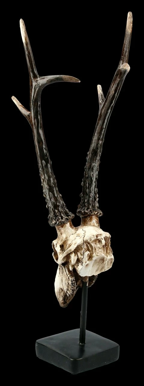 Rehbock Totenkopf Auf Metall Ständer 6 Rehbock Totenkopf Auf Metall Ständer – Bild 4