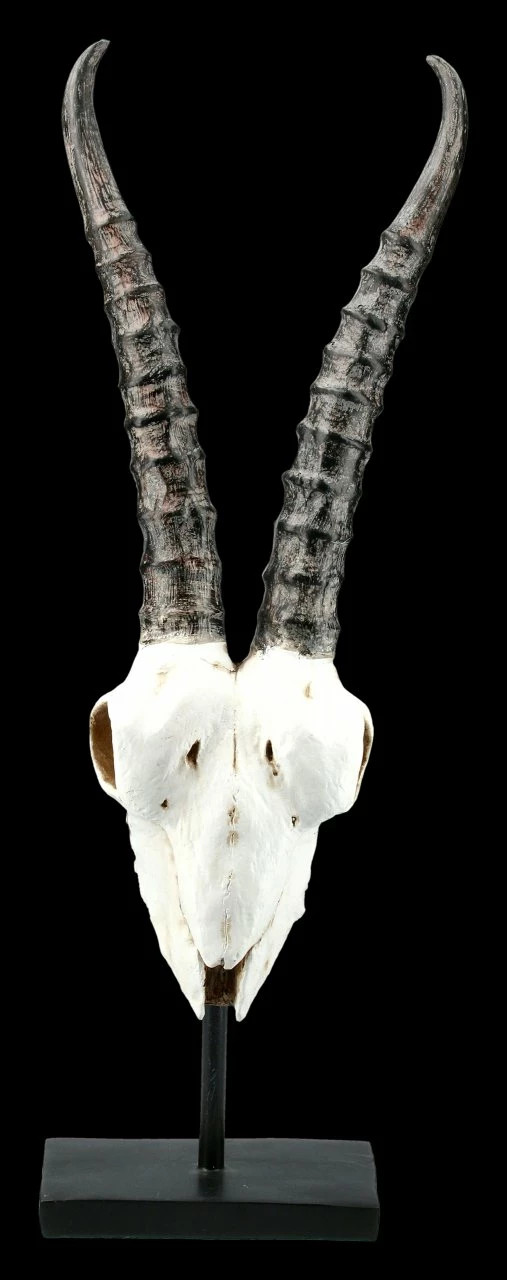 Antilopen Totenkopf Auf Metall Ständer 4 Antilopen Totenkopf Auf Metall Ständer – Bild 2