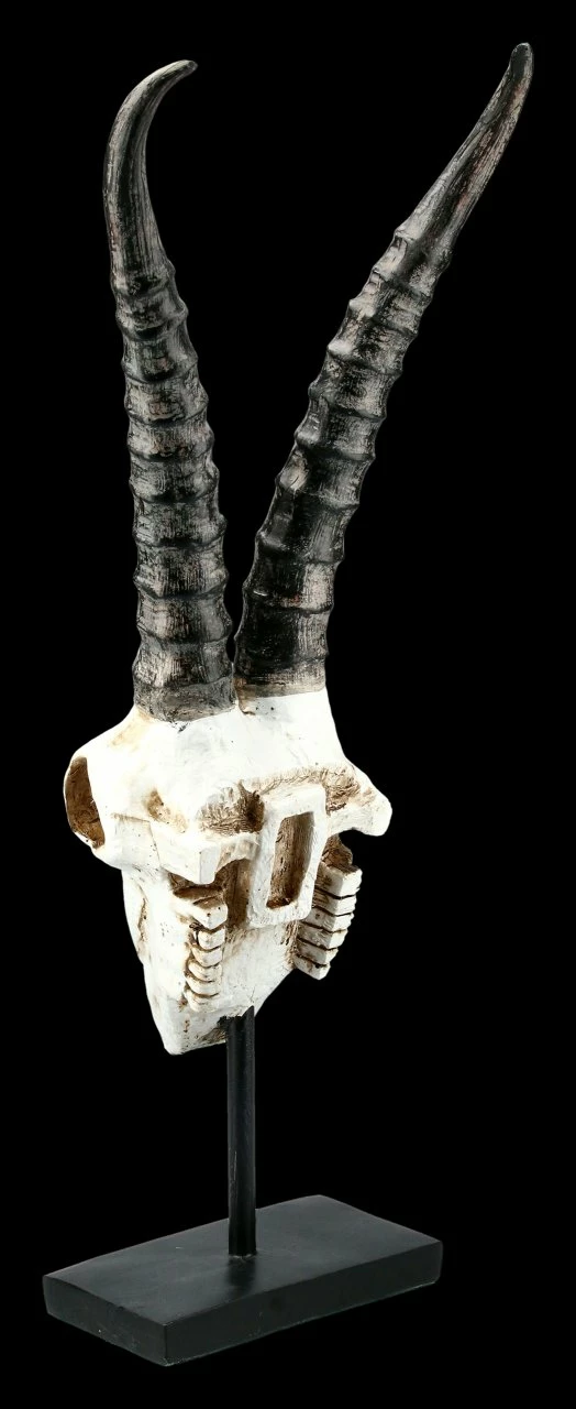 Antilopen Totenkopf Auf Metall Ständer 6 Antilopen Totenkopf Auf Metall Ständer – Bild 4
