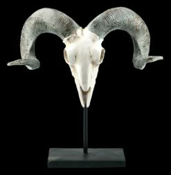 Widder Totenkopf Auf Metall Ständer -FIGUREN Verkäufe FS21256 Widder Totenkopf auf Metall Staender 1 1280x1280