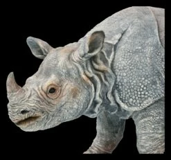 Gartenfigur - Nashorn -FIGUREN Verkäufe FS21341 Gartenfigur Nashorn 9 1280x1280