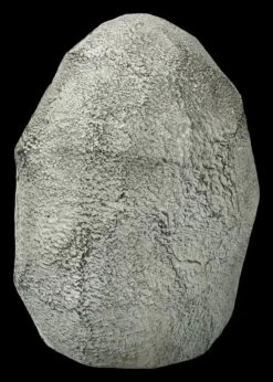 Goldfarbener Buddha Kopf Im Stein 10 Goldfarbener Buddha Kopf Im Stein -FIGUREN Verkäufe FS21364 Goldener Buddha Kopf im Stein 5 1280x1280