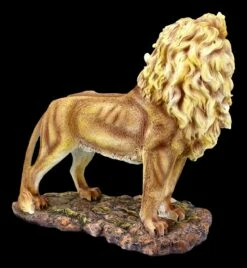 Elfen Figur - Sari Mit Löwe -FIGUREN Verkäufe FS21646 Elfen Figur Sari mit Loewe 7 1280x1280