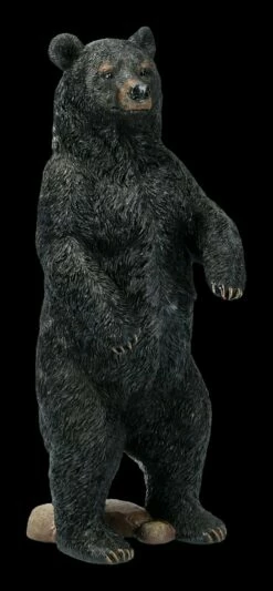 Schwarzbär Figur Aufrecht Stehend