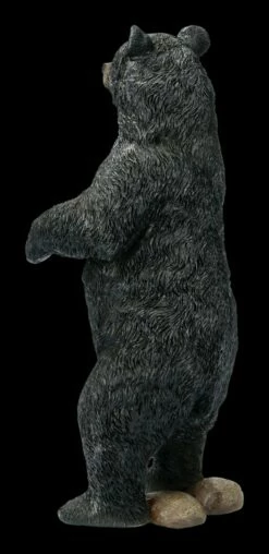 Schwarzbär Figur Aufrecht Stehend -FIGUREN Verkäufe FS21652 Schwarzbaer Figur aufrecht Stehend 5IK0kEXxKuqYCo 1280x1280