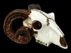 Alchemy Widderschädel - Klein