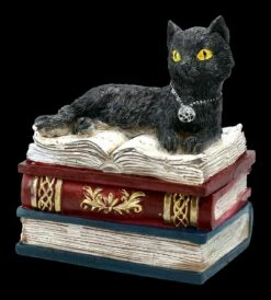 Schatulle - Katze Auf Roten Büchern 11 Schatulle - Katze Auf Roten Büchern -FIGUREN Verkäufe FS21978 Schatulle Katze auf roten Buechern 2 1280x1280