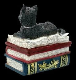 Schatulle - Katze Auf Roten Büchern 12 Schatulle - Katze Auf Roten Büchern -FIGUREN Verkäufe FS21978 Schatulle Katze auf roten Buechern 5 1280x1280