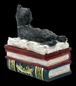 Schatulle - Katze Auf Roten Büchern 13 Schatulle - Katze Auf Roten Büchern -FIGUREN Verkäufe FS21978 Schatulle Katze auf roten Buechern 7 1280x1280