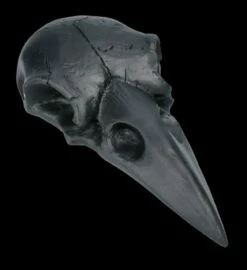 Handspiegel - Rabenschädel Schwarz