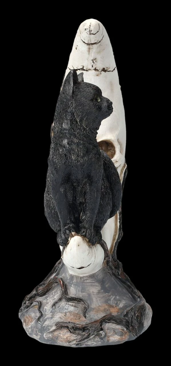 Totenkopf Mond Mit Schwarzer Katze 7 Totenkopf Mond Mit Schwarzer Katze – Bild 5