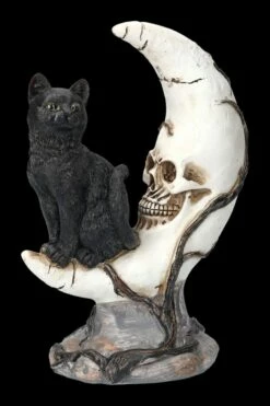 Totenkopf Mond Mit Schwarzer Katze