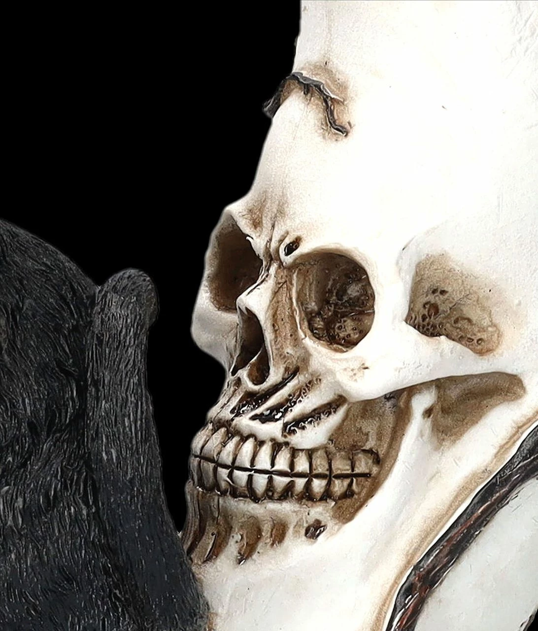 Totenkopf Mond Mit Schwarzer Katze 9 Totenkopf Mond Mit Schwarzer Katze – Bild 7