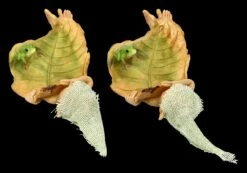 Pixie Kobold Figur - Blätter Bett 2er Set -FIGUREN Verkäufe FS24657 Pixie Kobold Figur Blatter Bett 2er 4 1280x1280